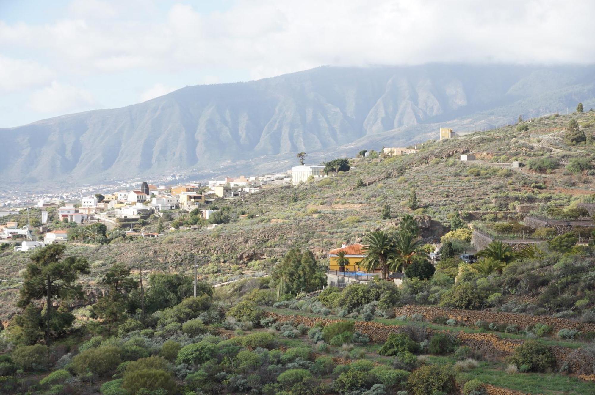 Casa Colores Tenerife Guesthouse Candelaria Bagian luar foto